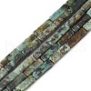 Natural African Turquoise(Jasper) Beads Strands G-G837-02-1