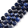 Natural Sodalite Beads Strands G-N327-08X-1