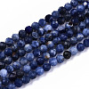 Natural Sodalite Beads Strands G-S362-070-1