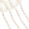  2 Strands Natural Cultured Freshwater Pearl Beads Strands PEAR-NB0001-10-1