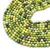 Natural Seraphinite Beads Strands G-A260-A15-01-3