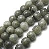 Natural Labradorite Bead Strands G-P256-01-8mm-1