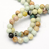 Natural Flower Amazonite Round Beads Strands G-S161-10mm-2