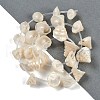 Natural Shell Beads Strands SHEL-K009-11-2