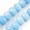 Opaque Baking Painted Glass Beads Strands EGLA-N006-009B-A17-1