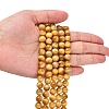 Natural Yellow Tiger Eye Beads Strands G-G212-8mm-18-5