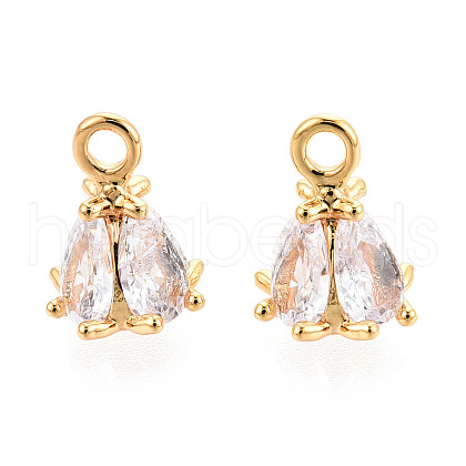 Brass Micro Pave Cubic Zirconia Charms KK-N263-72B-G-1