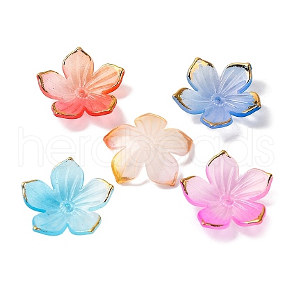 Transparent Acrylic Bead Caps TACR-P011-03G-1