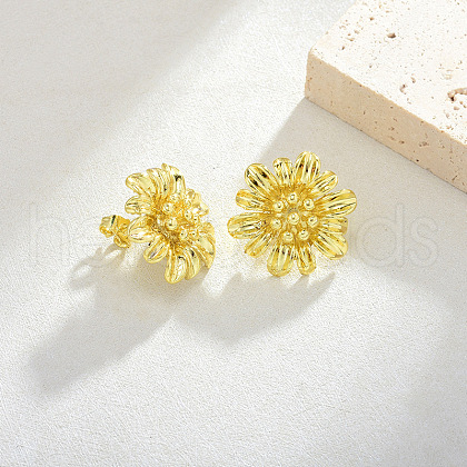 Brass Stud Earrings for Women EJEW-F365-04LG-1