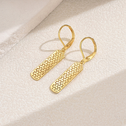 Elegant Brass Geometric Hoop Earrings HZ0185-2-1