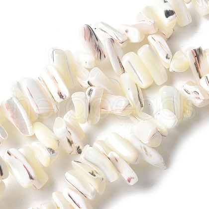 Dyed Natural Trochus Shell Beads Strands SSHEL-C013-09J-1