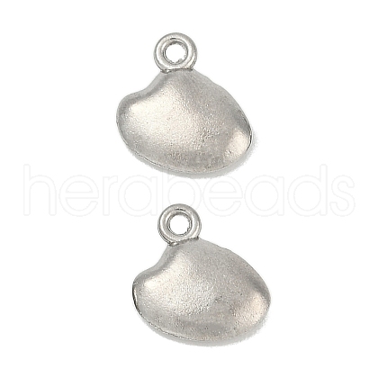 304 Stainless Steel Charms STAS-E500-10P-1