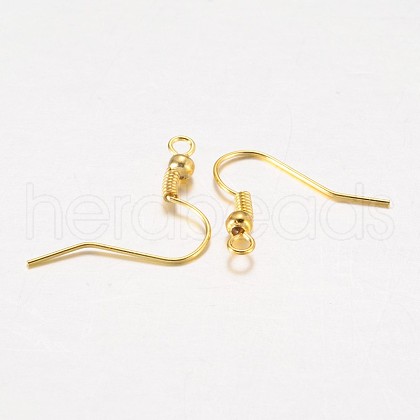 Iron Earring Hooks X-E135-G-1