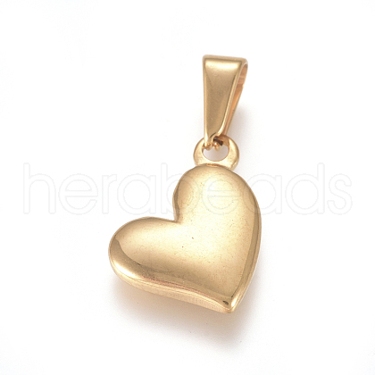 304 Stainless Steel Charms X-STAS-I127-068G-01-1