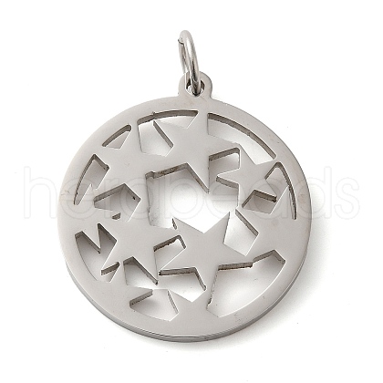 304 Stainless Steel Pendants STAS-C086-05L-P-1