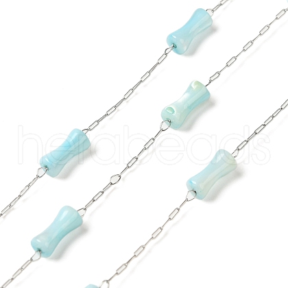 304 Stainless Steel Cable Chains and Dyed Shell Beads STAS-B067-02P-01-1
