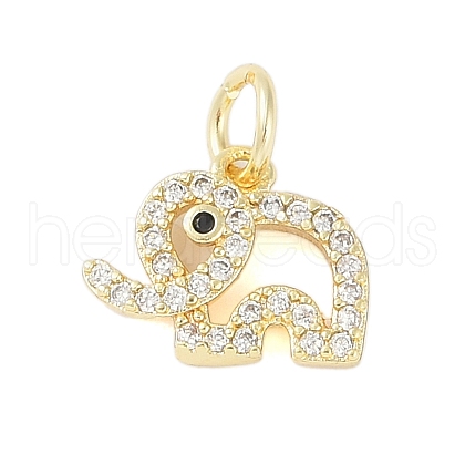 Rack Plating Brass Cubic Zirconia Charms KK-Z060-12G-1