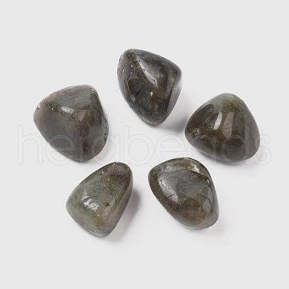 Natural Labradorite Beads G-K302-A09-1