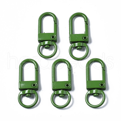 Spray Painted Eco-Friendly Alloy Swivel Snap Hooks Clasps PALLOY-T080-02C-NR-1