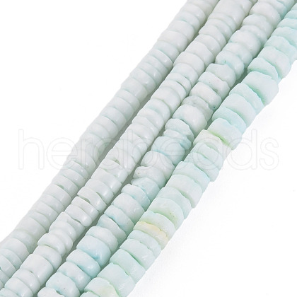 Sea Shell Beads Strands SSHEL-T014-49-1