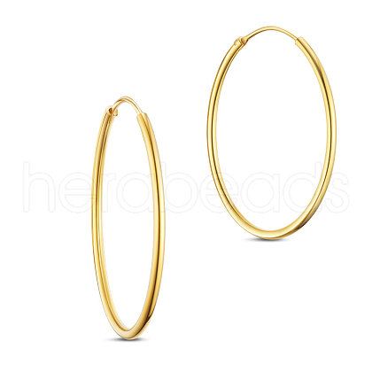 SHEGRACE 925 Sterling Silver Hoop Earrings JE670B-03-1