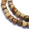 Natural Picture Jasper Beads Strands G-K310-B14-3