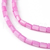 Natural Freshwater Shell Dyed Beads Strands SHEL-M018-12-10-3