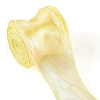 10 Yards Polyester Iridescent Ribbon OCOR-TAC0017-04A-3