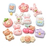 Opaque Resin Decoden Cabochons RESI-F052-B12-1