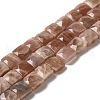 Natural Sunstone Beads Strands G-C109-A09-02-1