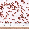 MIYUKI Delica Beads SEED-J020-DB2288-4
