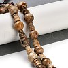 Natural Picture Jasper 3-Hole Guru Beads Strands G-H064-E06-01-2