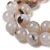 Natural Dendritic Agate Beads Strands G-A248-A07-07-4