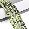 Natural Serpentine Beads Strands G-T140-76-1