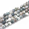 Natural Tree Agate Beads Strands X-G-T106-037-1