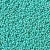 MIYUKI Round Rocailles Beads X-SEED-G008-RR4475-4