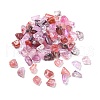 Transparent Acrylic Beads TACR-P013-A06-B-1