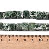 Natural Green Spot Jasper Beads Strands G-T139-8x8-23A-5