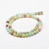 Natural Flower Amazonite Beads Strands G-F415-8mm-2