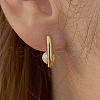 Fashionable S925 Sterling Silver Rectangle Hoop Earrings YL1493-1-1