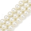 Shell Pearl Beads Strands BSHE-XCP0001-63A-1