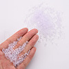 8/0 Transparent Glass Seed Beads SEED-S048-H-012-5