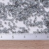 MIYUKI Delica Beads Small SEED-JP0008-DBS0179-4
