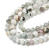 Natural Tree Agate Beads Strands G-RM250104-D6-4