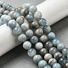 Natural Aquamarine Beads Strands G-I349-A01-01F-5