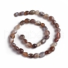 Natural Botswana Agate Beads Strands G-D0002-D81-2
