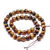 Natural Tiger Eye Beads Strands G-F260-02-8mm-2