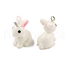 Resin Pendants RESI-S356-53-2