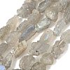 Raw Rough Natural Labradorite Beads Strands G-M453-D14-2
