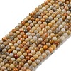 Natural Crazy Lace Agate Bead Strands G-A130-2mm-K10-2